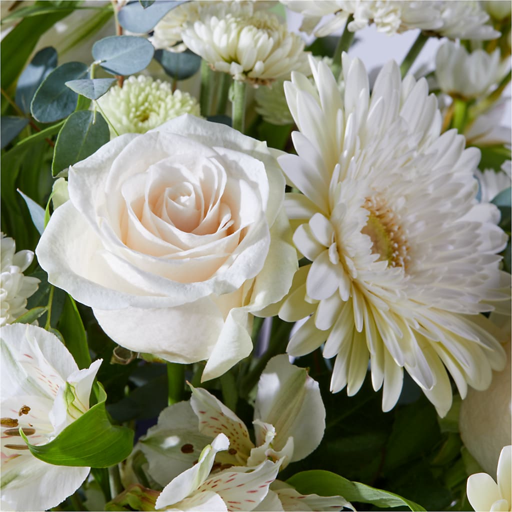 New Beginnings – A Florist Original – SOBEY'S, Mississauga ON