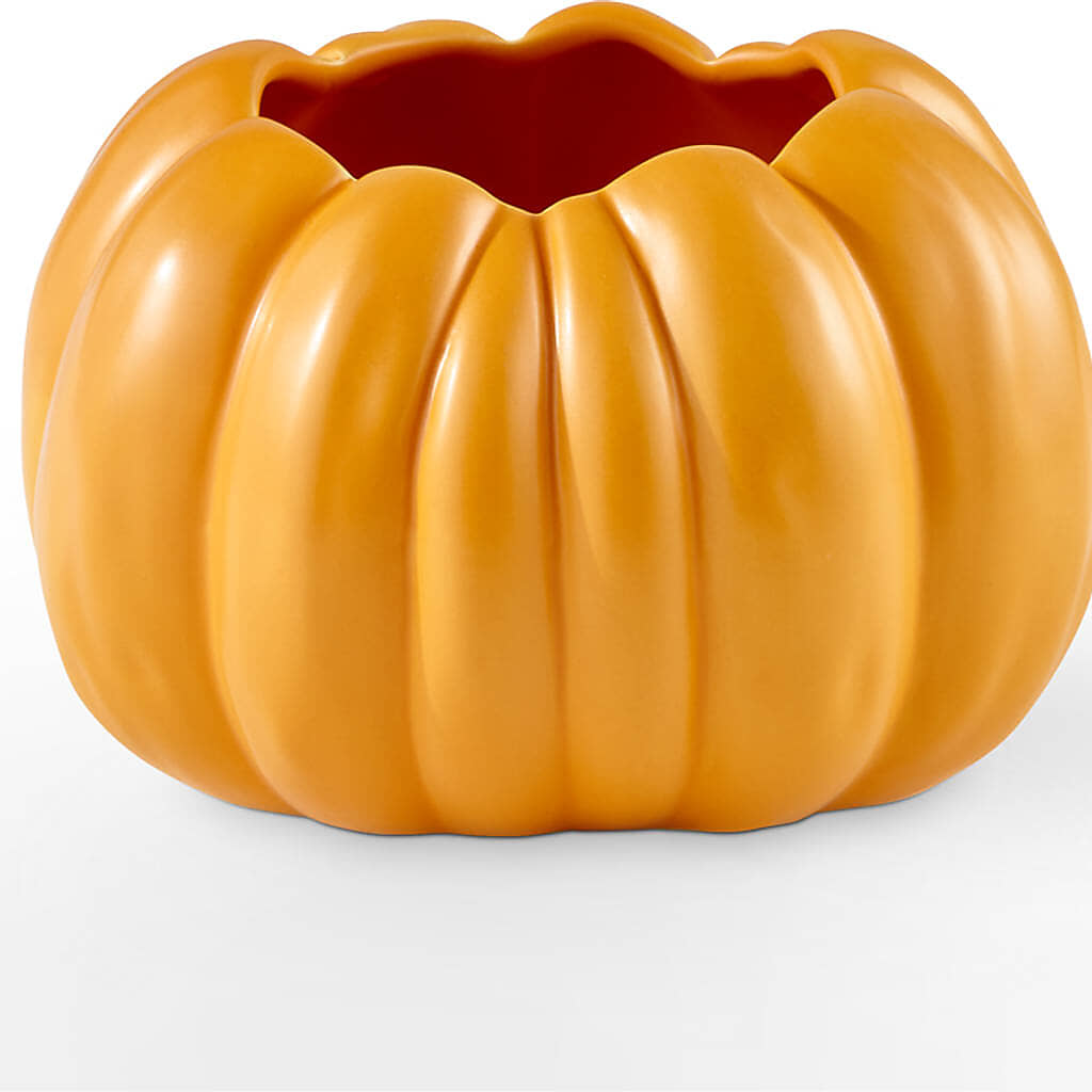 Golden Gourd Pumpkin Bouquet – SOBEY'S, Mississauga ON