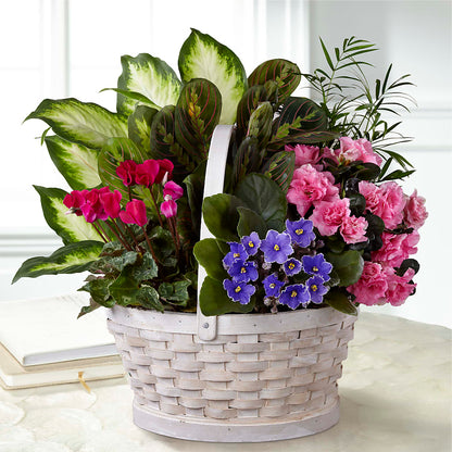 Peaceful Garden Planter – SOBEY'S, Mississauga ON