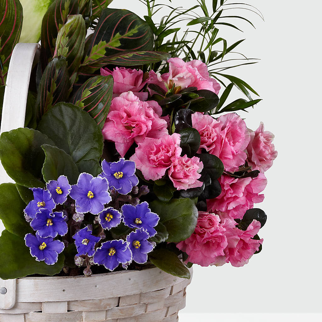 Peaceful Garden Planter – SOBEY'S, Mississauga ON