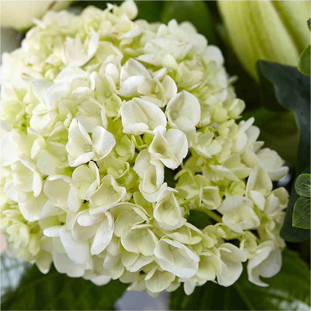 Classic Ivory – A Florist Original – SOBEY'S, Mississauga ON