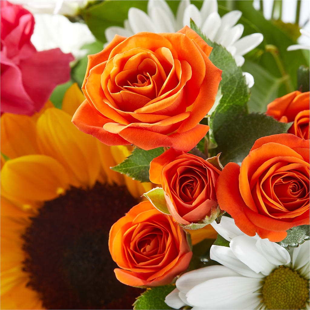Sun-drenched Blooms Bouquet – SOBEY'S, Mississauga ON