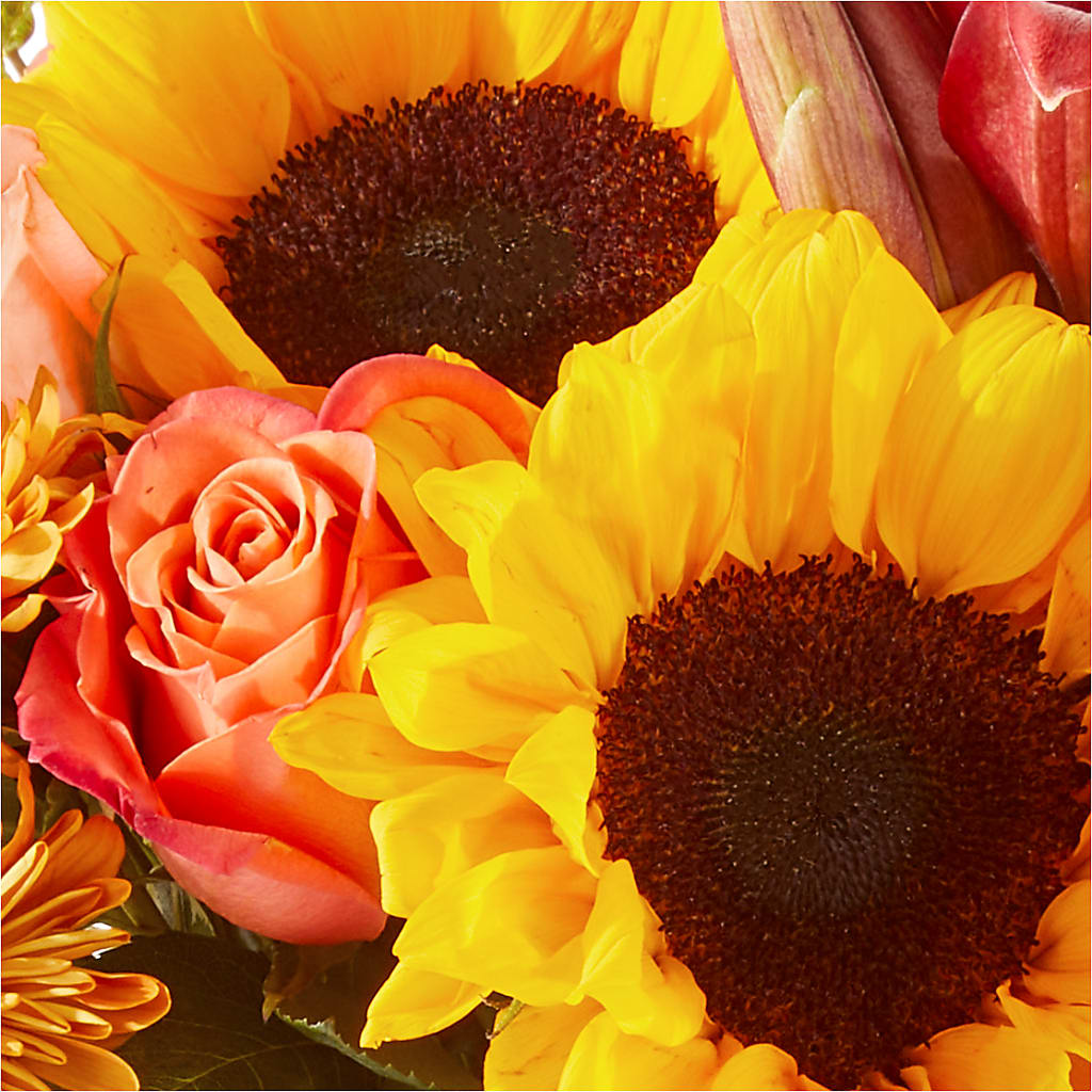 Acorn Lane Bouquet – SOBEY'S, Mississauga ON