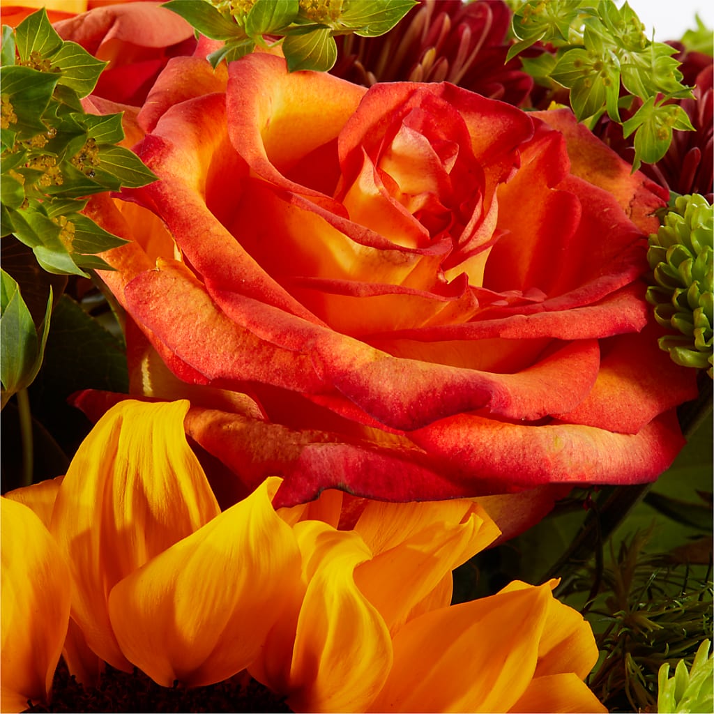 Harvest Festival Bouquet – SOBEY'S, Mississauga ON