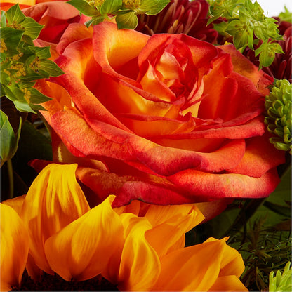 Harvest Festival Bouquet – SOBEY'S, Mississauga ON