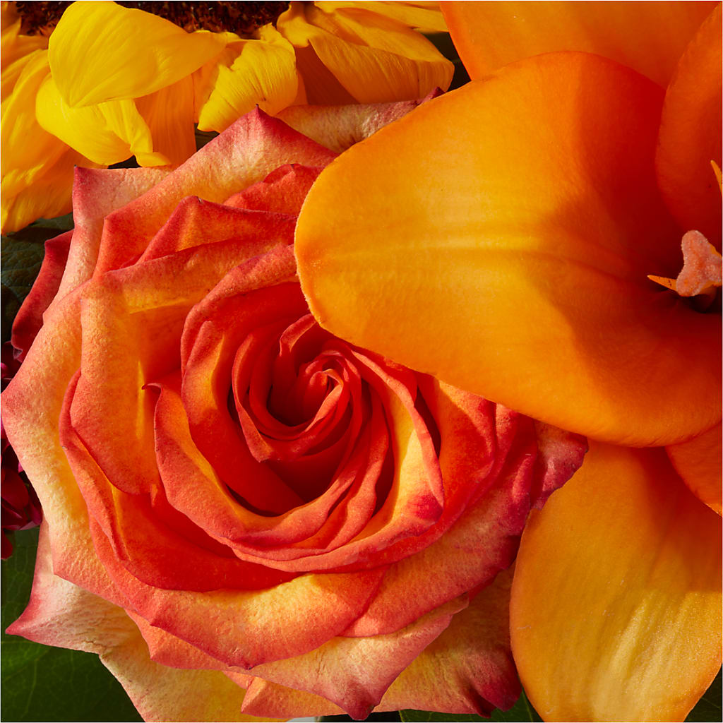 Grateful Centerpiece – SOBEY'S, Mississauga ON