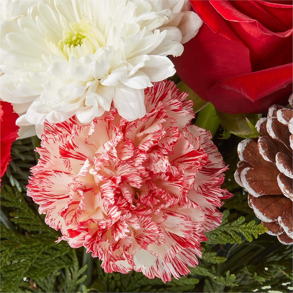 Candy Cane Lane Bouquet – SOBEY'S, Mississauga ON