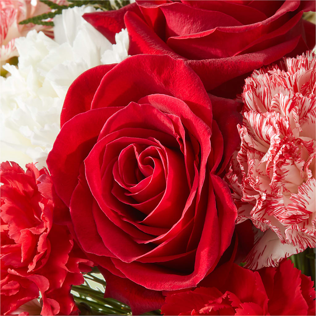 Candy Cane Lane Bouquet – SOBEY'S, Mississauga ON