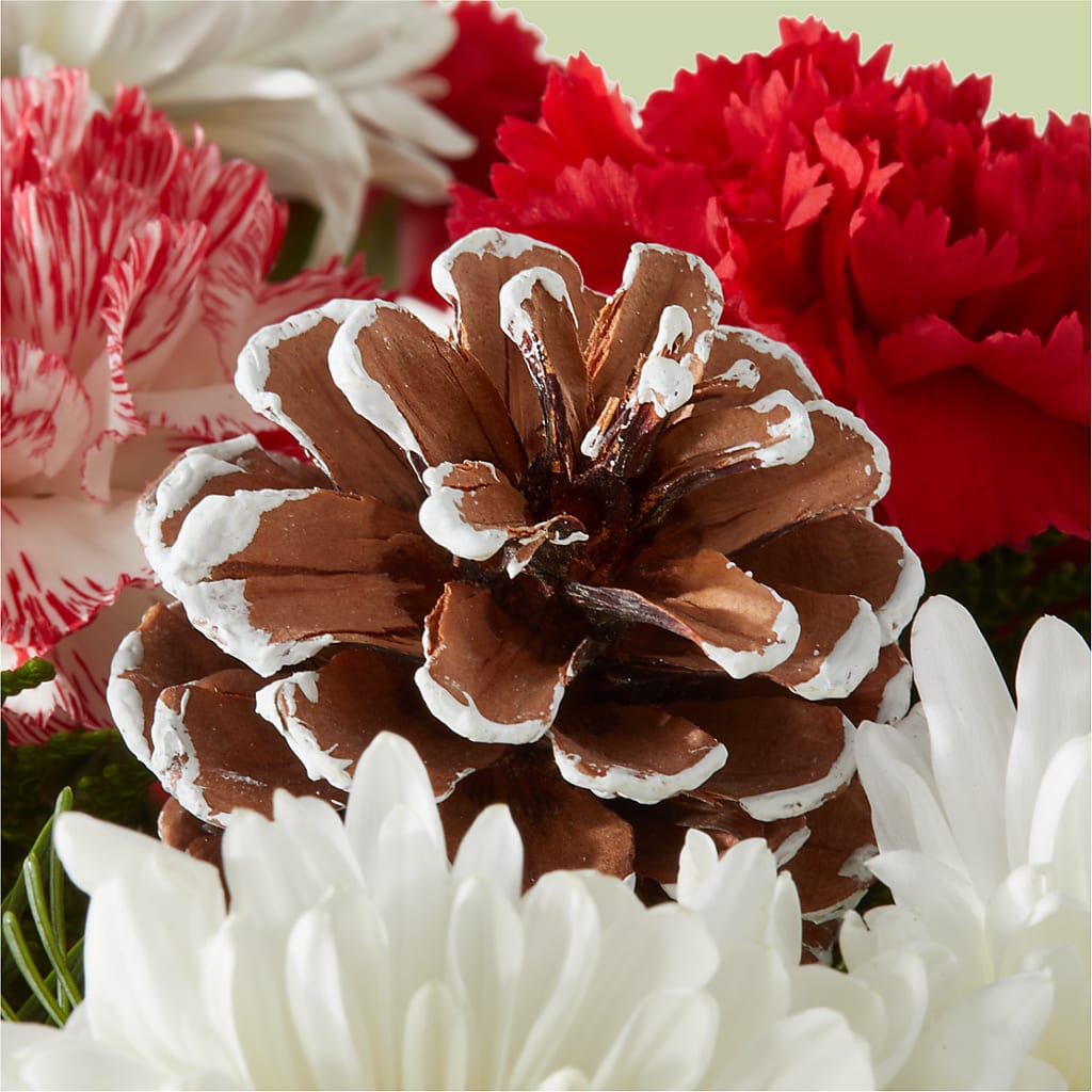 Candy Cane Lane Bouquet – SOBEY'S, Mississauga ON