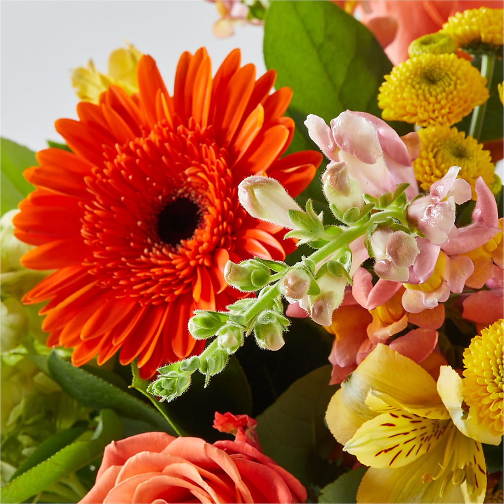Autumn Sunshine Bouquet – SOBEY'S, Mississauga ON