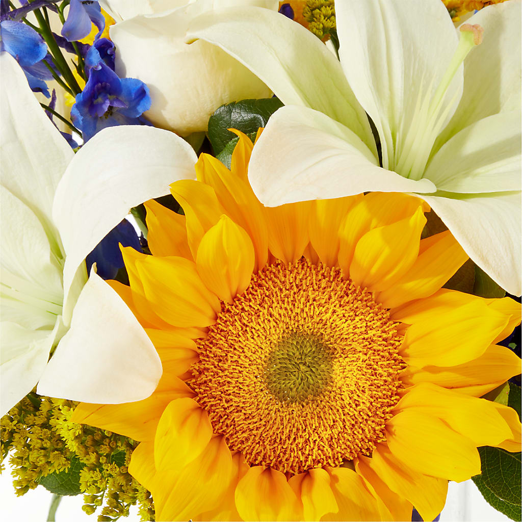 Stargazing Bouquet – SOBEY'S, Mississauga ON