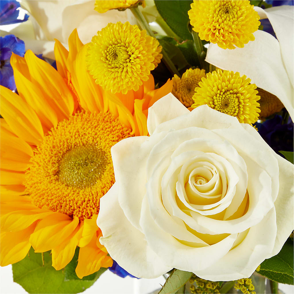 Stargazing Bouquet – SOBEY'S, Mississauga ON
