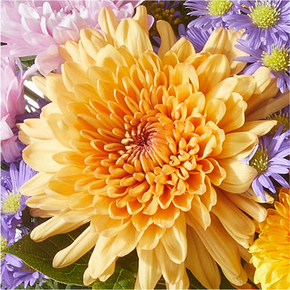 Countryside Bouquet – SOBEY'S, Mississauga ON