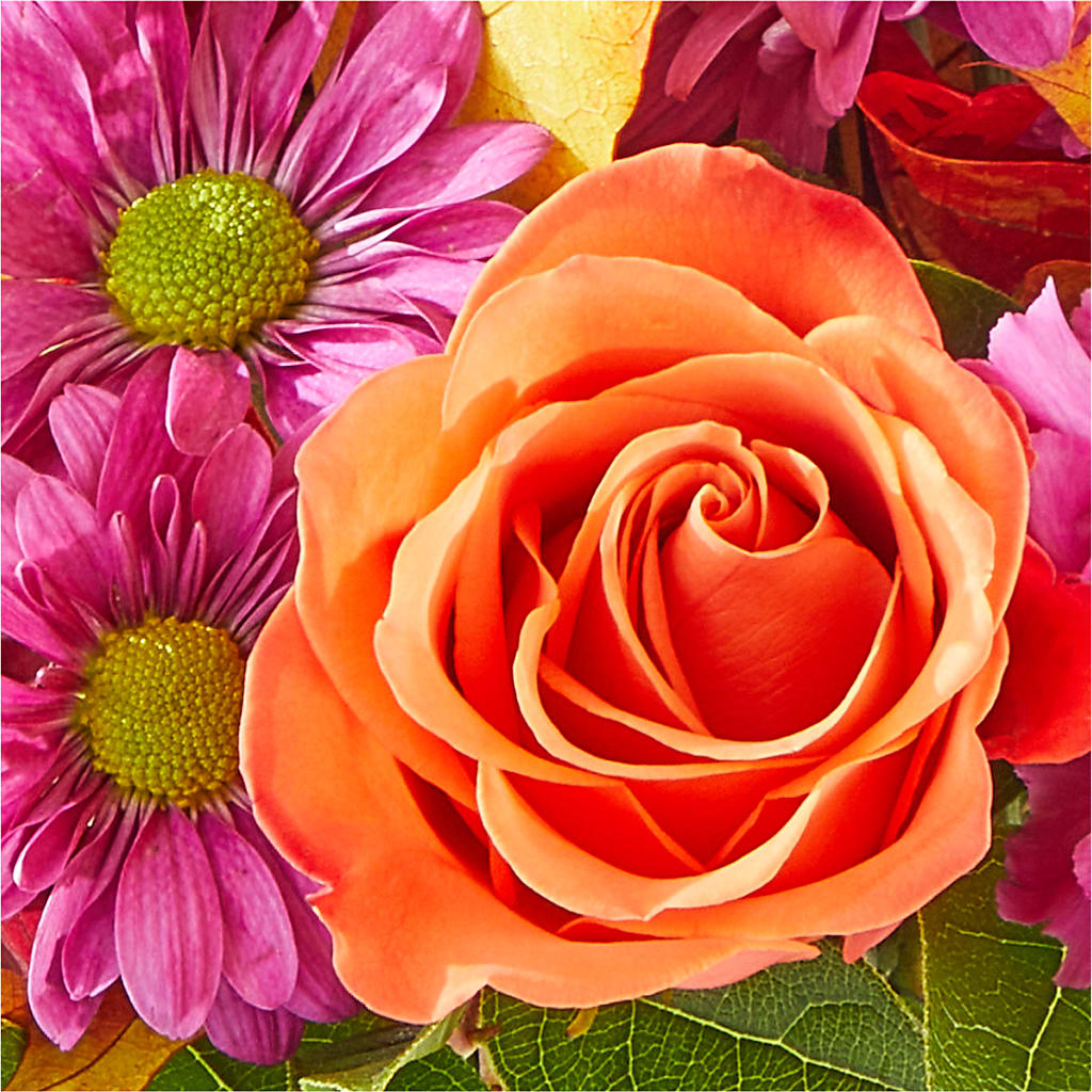 Mum's the Word Bouquet – SOBEY'S, Mississauga ON