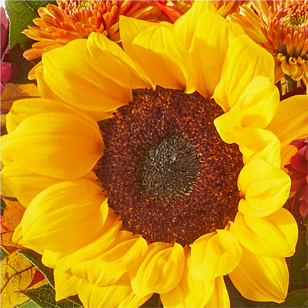 Sunny Side Bouquet – SOBEY'S, Mississauga ON