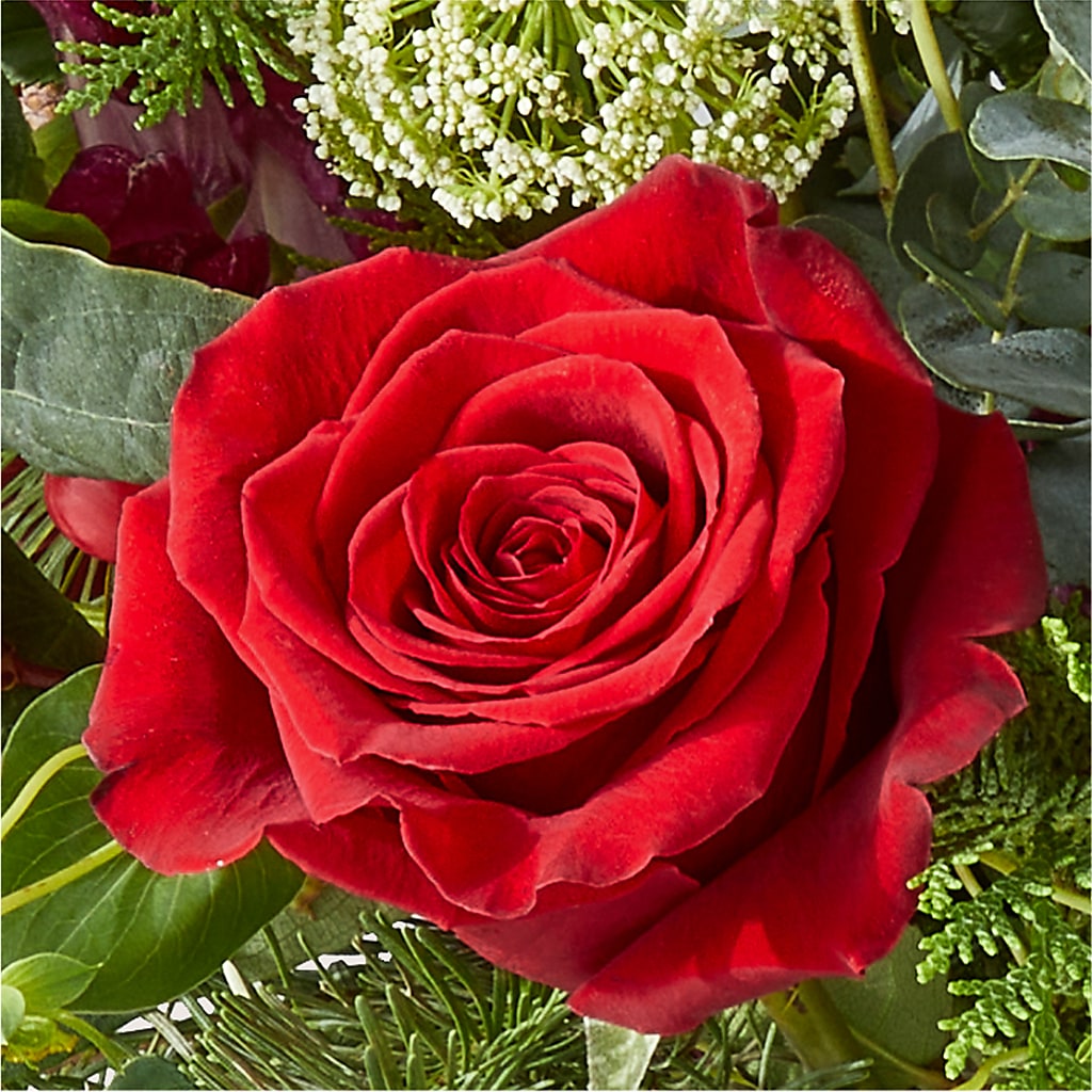 Cranberry Fizz Bouquet – SOBEY'S, Mississauga ON