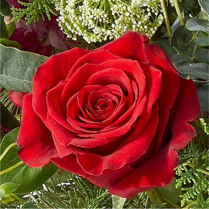 Cranberry Fizz Bouquet – SOBEY'S, Mississauga ON