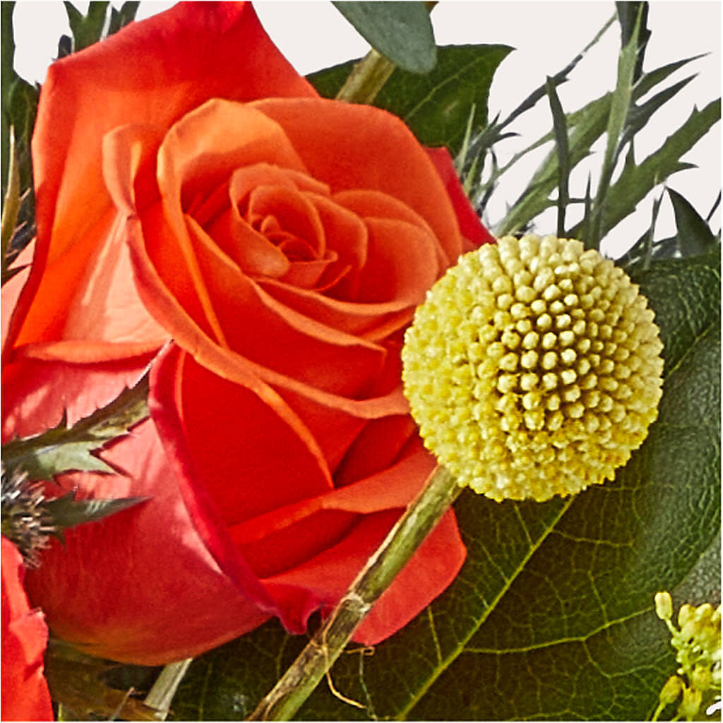 Disco Bouquet – SOBEY'S, Mississauga ON