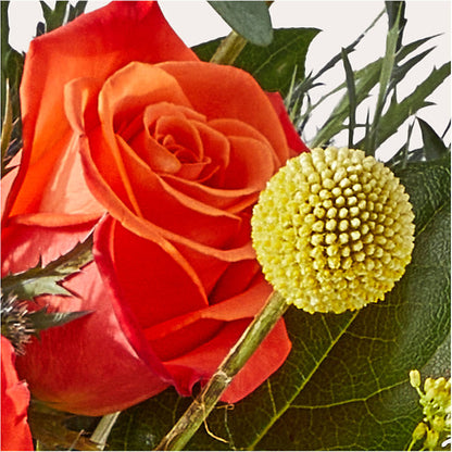 Disco Bouquet – SOBEY'S, Mississauga ON