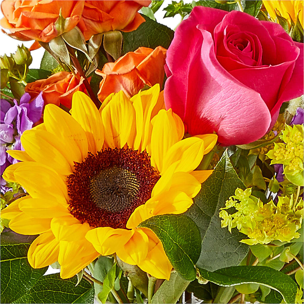 Vibrant Greetings Bouquet – SOBEY'S, Mississauga ON