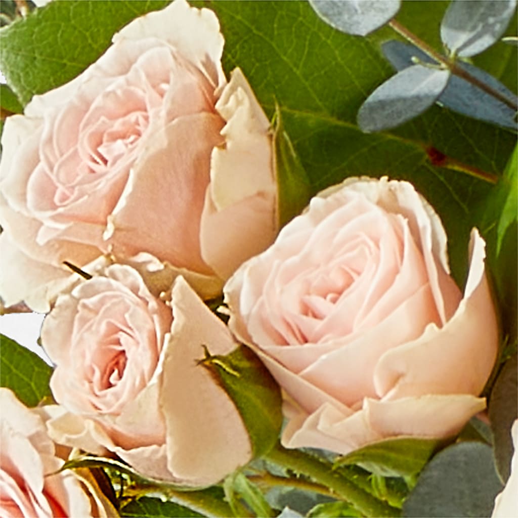 Inspired Bouquet – SOBEY'S, Mississauga ON
