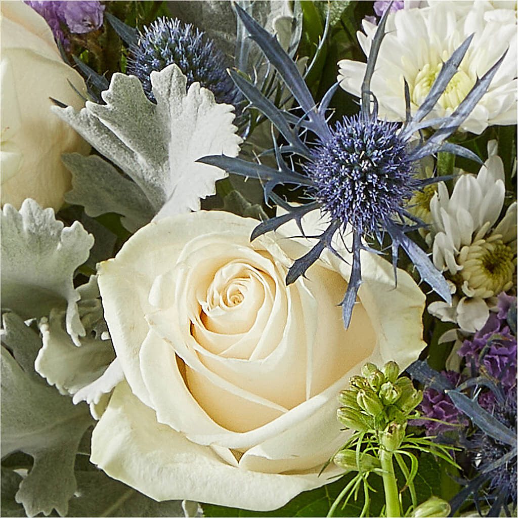 Shooting Star Bouquet – SOBEY'S, Mississauga ON