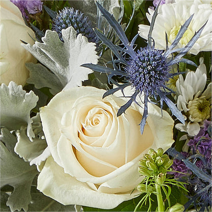 Shooting Star Bouquet – SOBEY'S, Mississauga ON