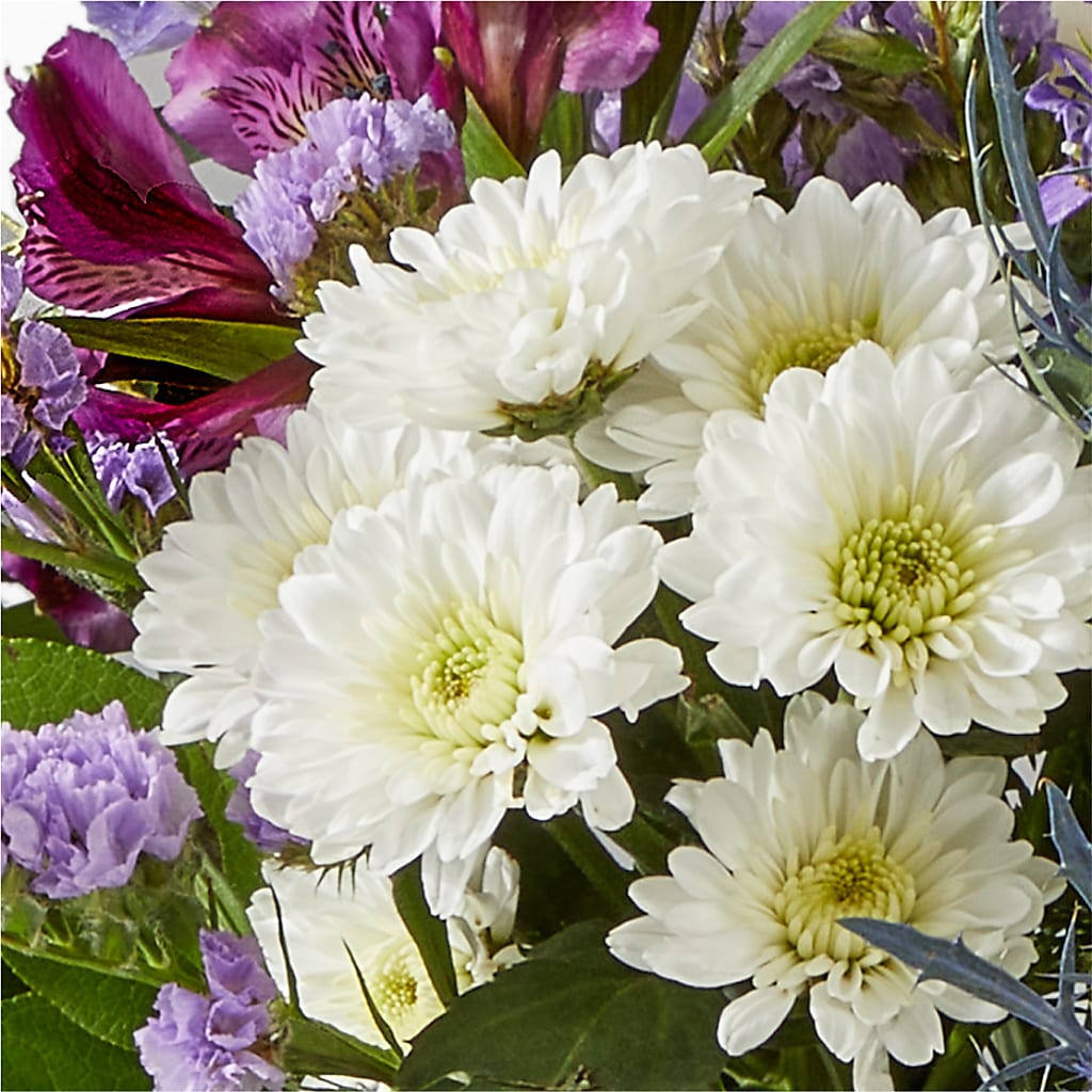 Shooting Star Bouquet – SOBEY'S, Mississauga ON