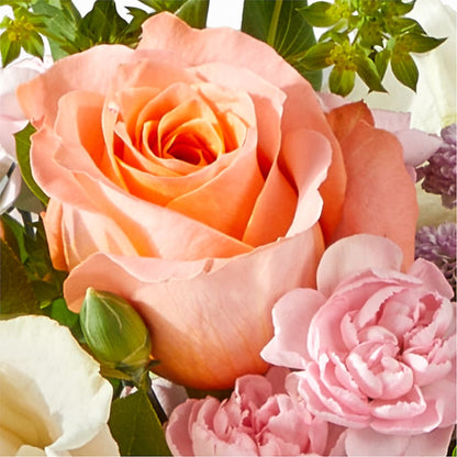 French Market Bouquet – SOBEY'S, Mississauga ON