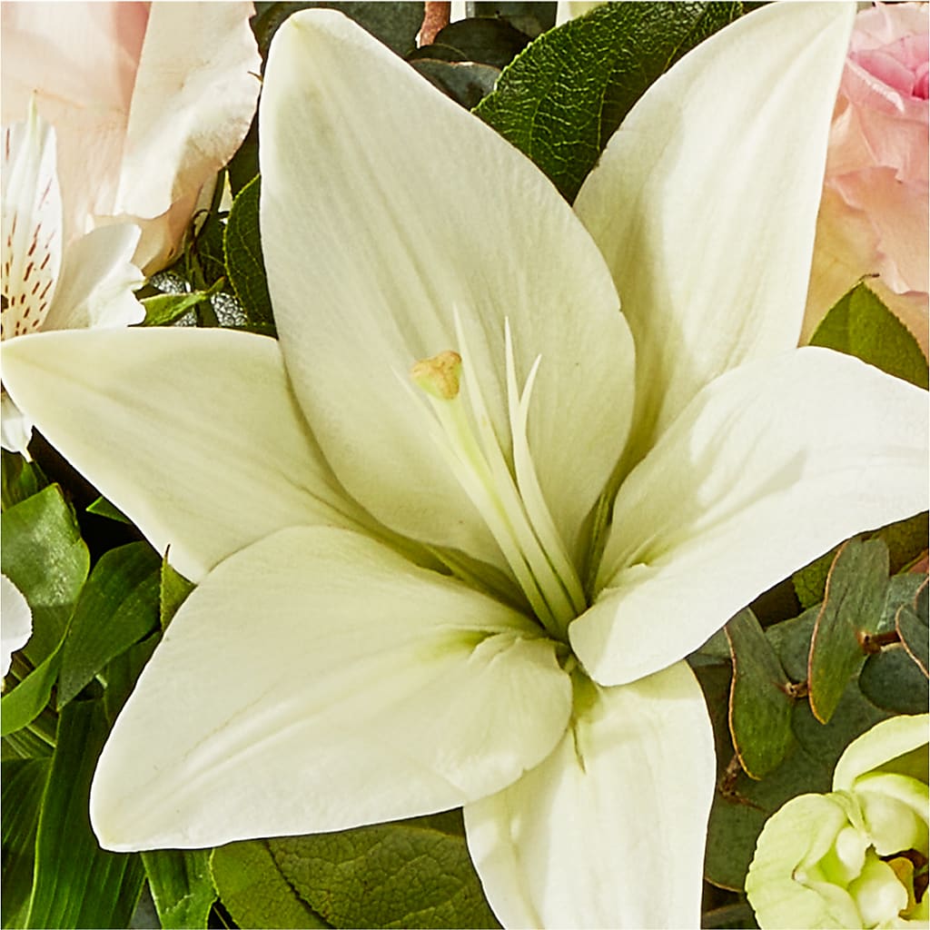 Ballet Slippers Bouquet – SOBEY'S, Mississauga ON