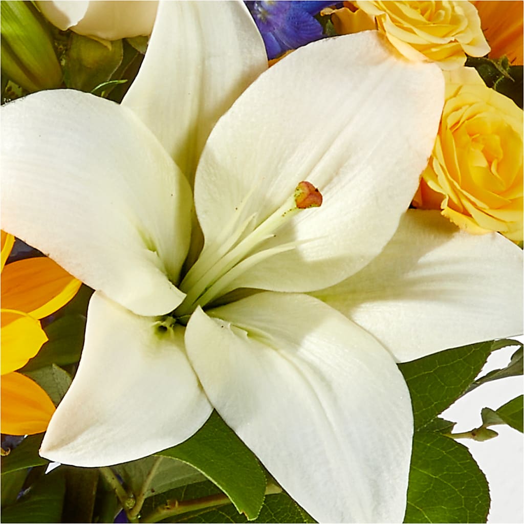 Wonderfully Sunny Bouquet – SOBEY'S, Mississauga ON