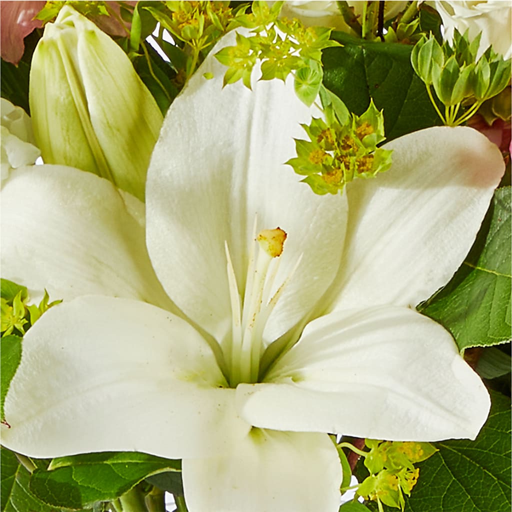 Fondly Bouquet – SOBEY'S, Mississauga ON