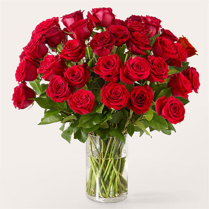The One Red Rose Bouquet – SOBEY'S, Mississauga ON